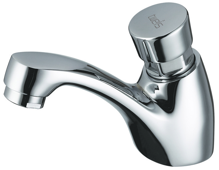 Tweis Single hole Brass Polished Chrome Single Button Metering Slow-Close Bathroom Faucet