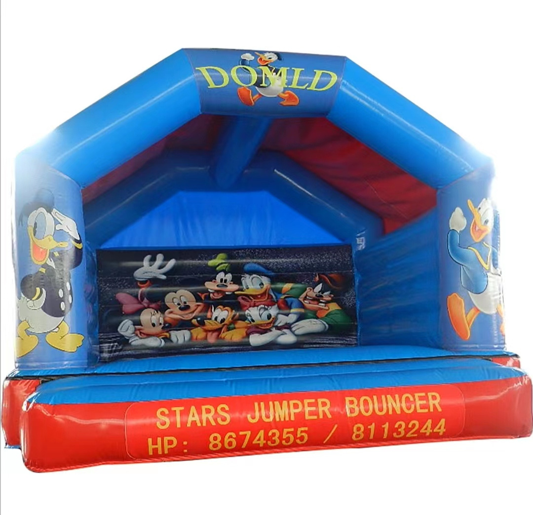 Commercial Grade Castillo Inflable Combo Pirate Bounce House Jumping Castle Bouncer Slide Inflatable Castle Bouncy