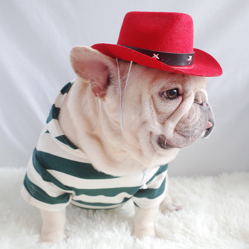 Pat Cowboy Hat Pet Headgear Western Cowboy Hat Photo Dog Small Helmet Grass Woven Cowboy Pet Hat