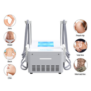 Desktop Cooling Handles Ems Cryolipolysis Slimming Machine Cryoskin Face Lifting Cellulite Removal Machine