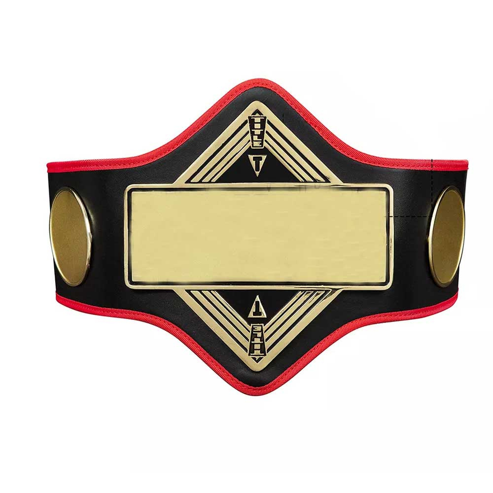 Championship belts wrestling boxing belts Authentic Wear Universal Championship blue Title Belt