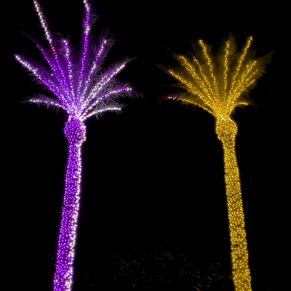 Landscape Wholesale Outdoor decoration IP67 led pixels coconut palm Christmas RGB tree lights