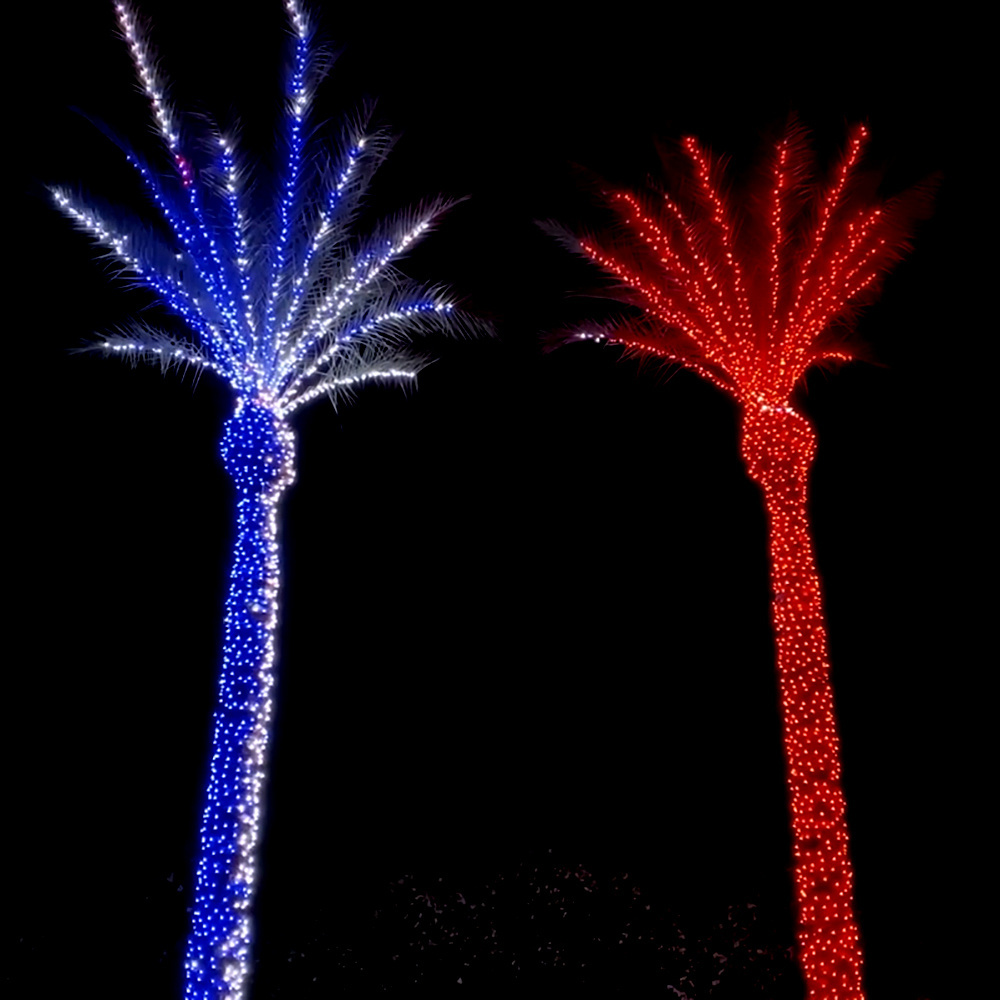 Landscape Wholesale Outdoor decoration IP67 led pixels coconut palm Christmas RGB tree lights