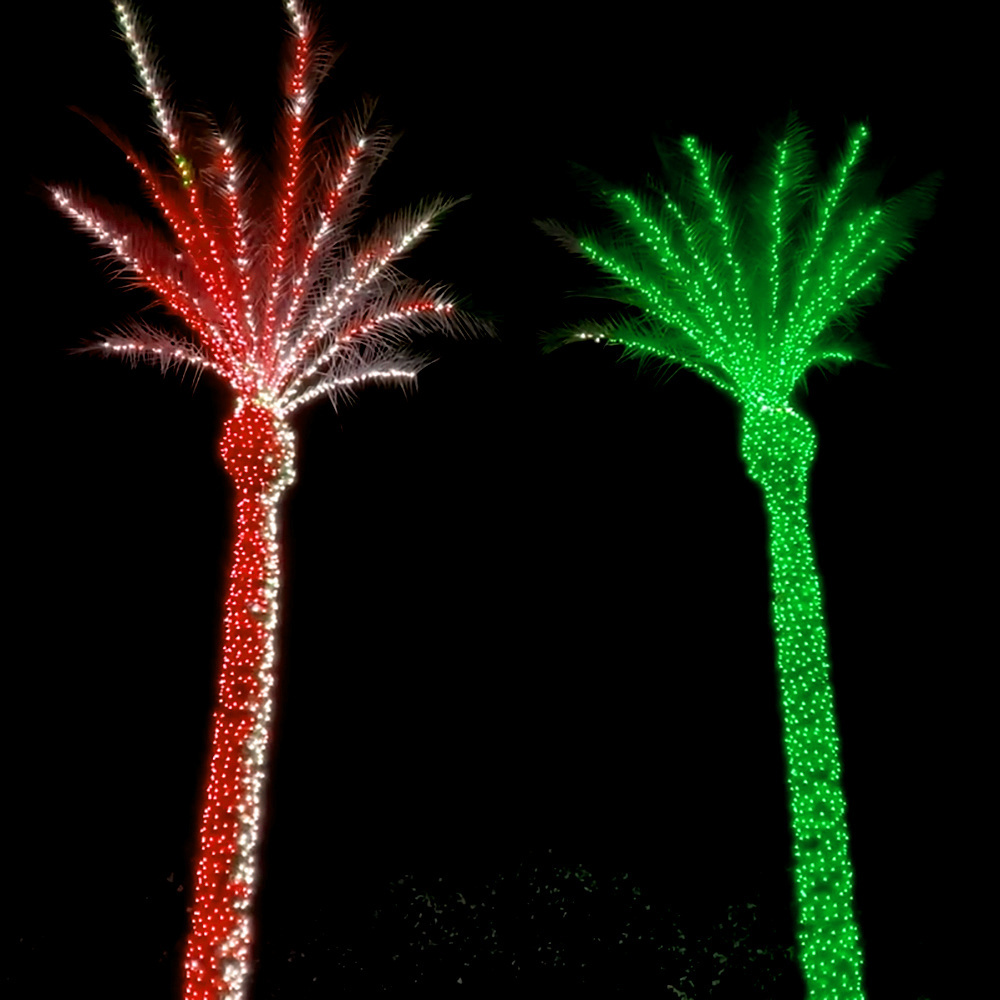 Landscape Wholesale Outdoor decoration IP67 led pixels coconut palm Christmas RGB tree lights