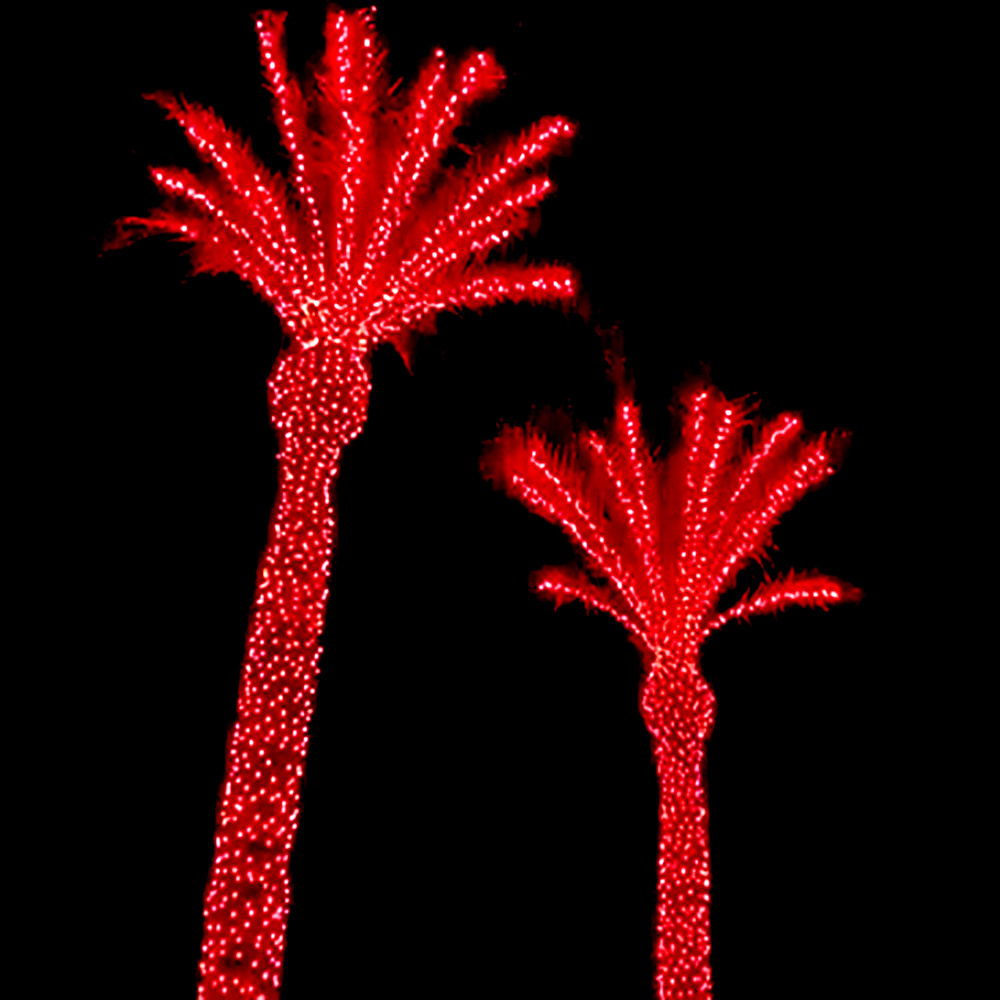 Landscape Wholesale Outdoor decoration IP67 led pixels coconut palm Christmas RGB tree lights