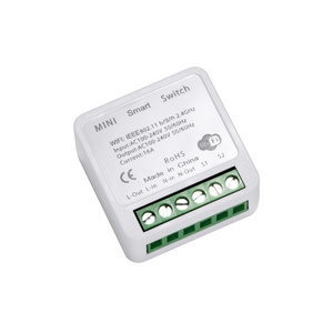 16A Mini Smart Switch Module With Neutral Wire Which Support Alexa and Google Home system