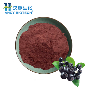 Factory supply Organic wild berry powder aronia berry juice powder aronia powder