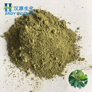 Manufacturer Supply Loquat Leaf Extract Powder 3% Corosolic Acid