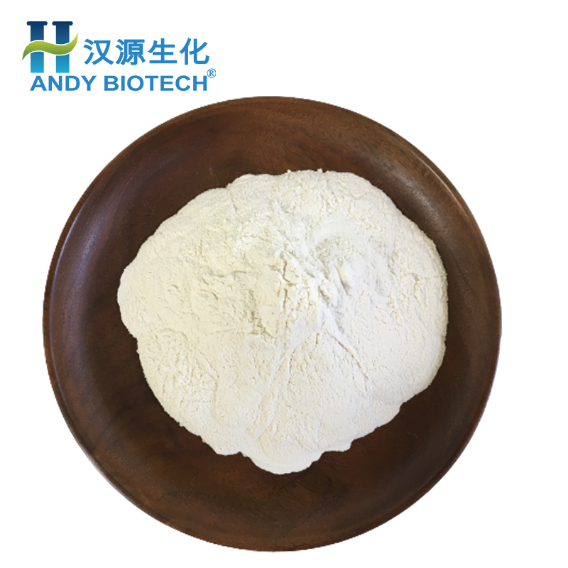 Factory Price  Food Grade Yeast Extract Beta-Glucan 70% Yeast Beta Glucan Powder