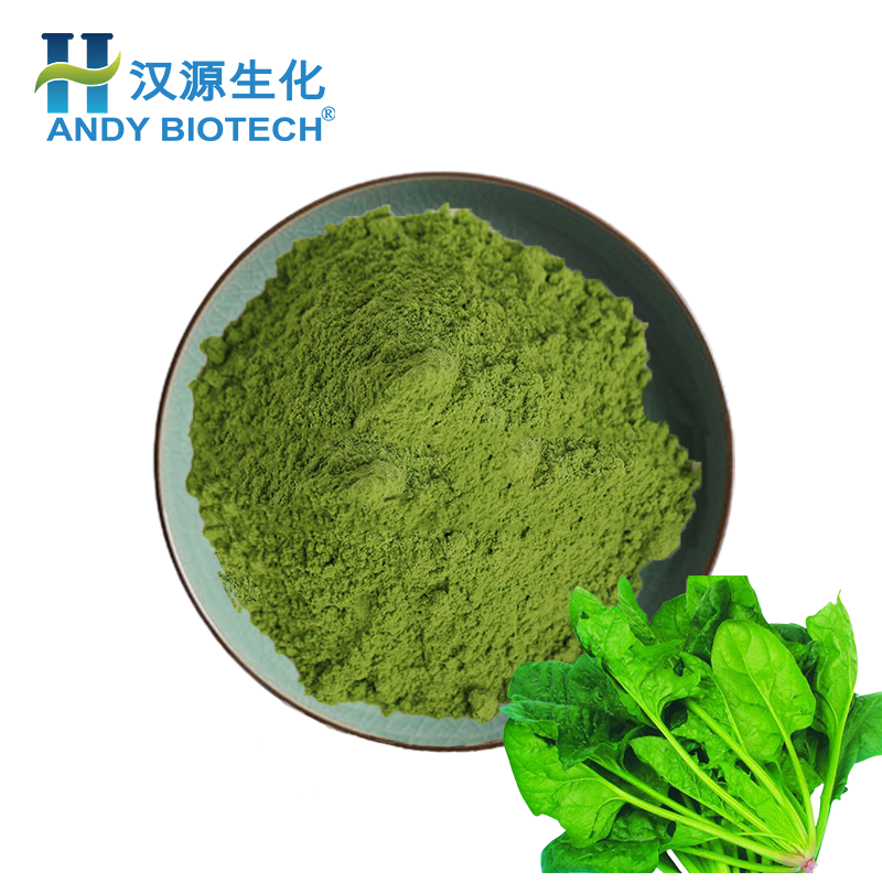 High quality dry dehydrated spinach leaves