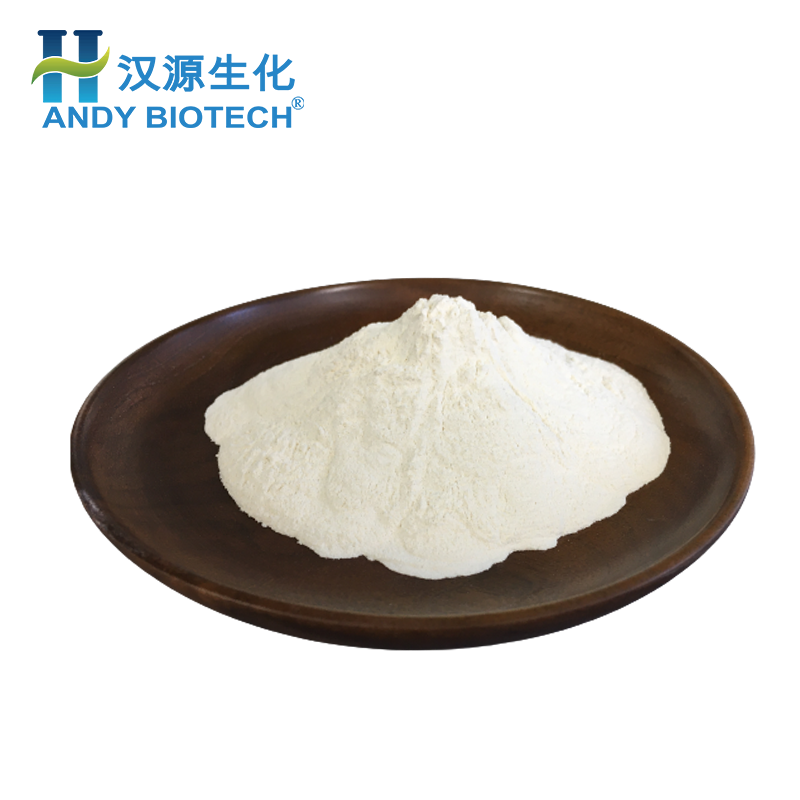 Factory Price  Food Grade Yeast Extract Beta-Glucan 70% Yeast Beta Glucan Powder