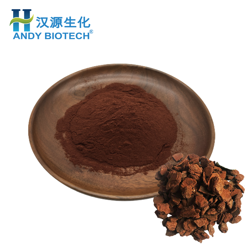 Best selling Pine Bark Extract 95% OPC Proanthocyanidins Pine Bark Extract Powder