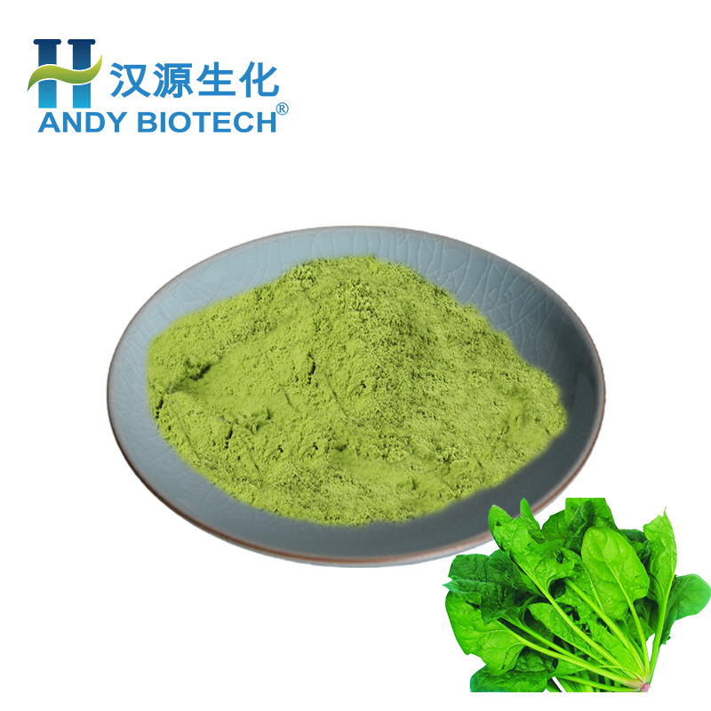 High quality dry dehydrated spinach leaves