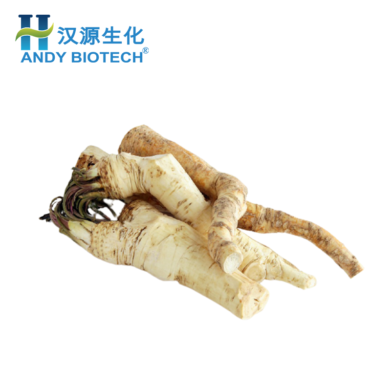 Manufacturer supply horseradish wasabi extract