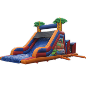 China inflatable slide n inflatable jumper slide combo n slide pool inflatable