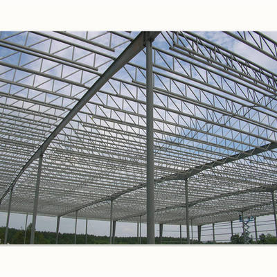 Metal Structure Steel Joist Framing Large Span Prefab Steel Shed Building with Steel Roof Truss Design