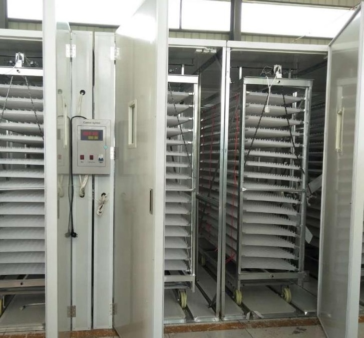 Factory Supply Used 10000 Chicken Egg Incubator For Sale Snail Farming Incubator