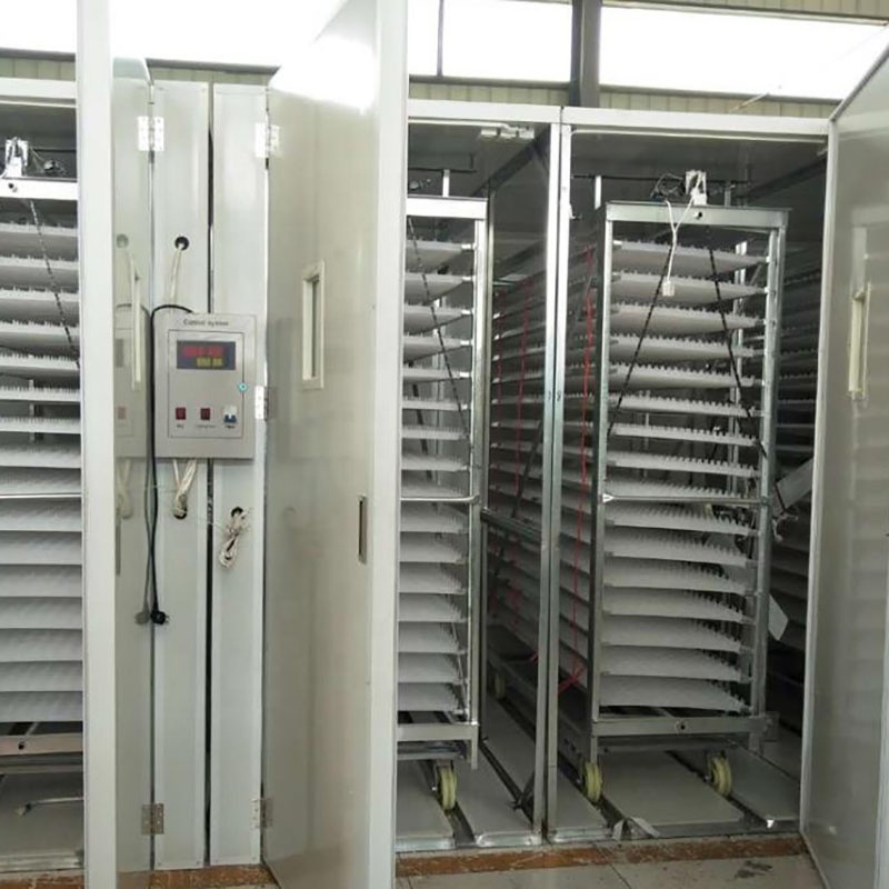 2021 multi-functional 10000 20000 big turkey parrot egg incubator philippines for hatchery