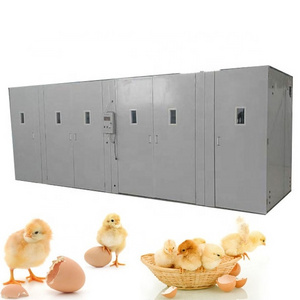 Factory Supply Used 10000 Chicken Egg Incubator For Sale Snail Farming Incubator