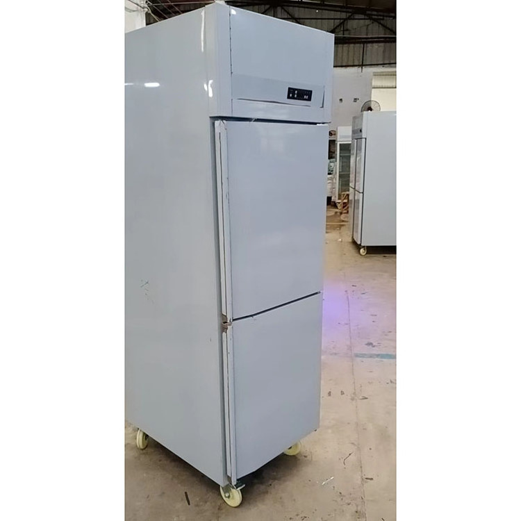 2023 Professional Cold storage four door upright stainless steel commercial refrigerator and deep freezer