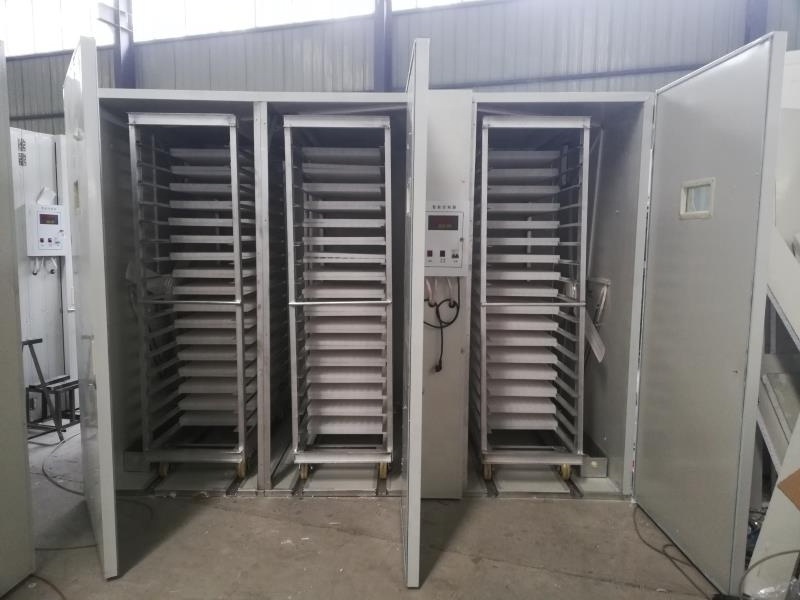 Factory Supply Used 10000 Chicken Egg Incubator For Sale Snail Farming Incubator