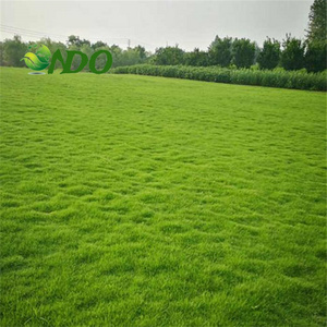 2023 Factory direct sales green grass carpet artificial grass carpet  and sports floor artificial grass