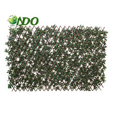 Nice Screening Willow Trellis Expanding Leaves Nice Screening Willow Trellis Fence Decoration For Garden