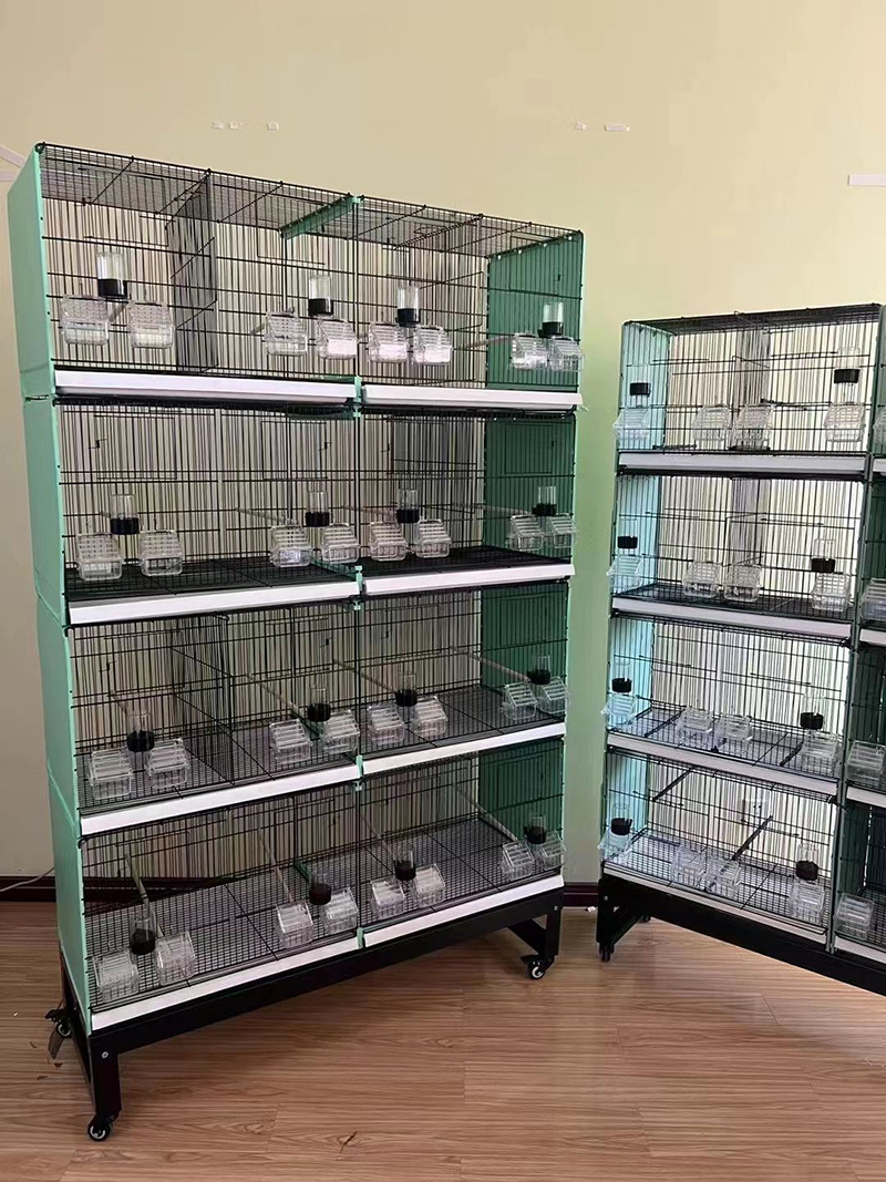 Wholesale trade stainless flight canary double feeder china breeding bird large pet cages