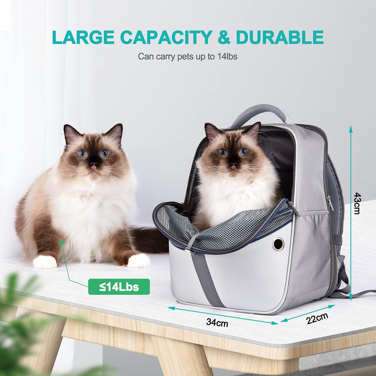 Outdoor Expandable Breathable Mesh Cat Carrier Backpack Ventilated Design Pet Travel Backpack