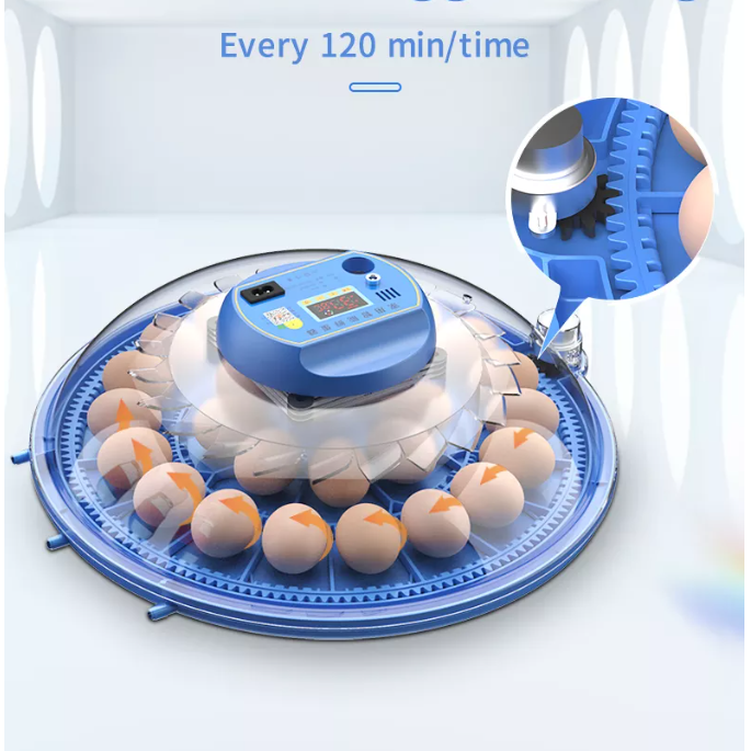 16 30 48 eggs Solar Eggs Incubator For Sale With Fully Automatic Egg Turning and Temperature Humidity Control Chicken Incubator