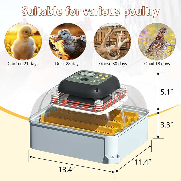 Wholesale best selling goose automatic turner thermometer cockatiel bird heater 24 egg incubator