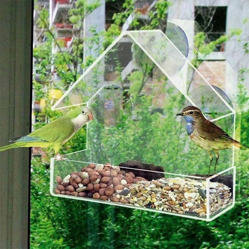 wild Acrylic hanging Bird Feeder  Gazebo  And Hangers For Windows Outdoor Garden Yard with Sucker acrylic bird cage