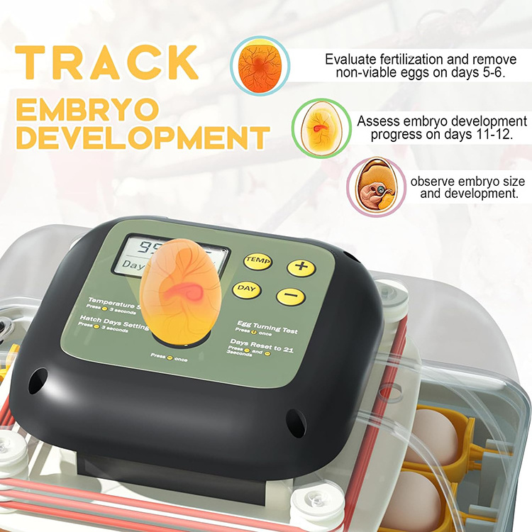 Wholesale best selling goose automatic turner thermometer cockatiel bird heater 24 egg incubator