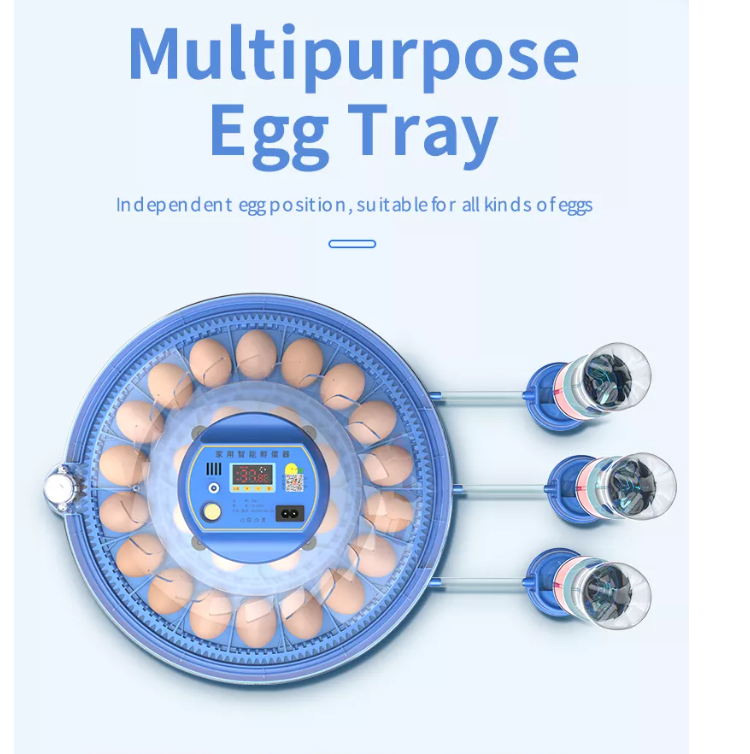 16 30 48 eggs Solar Eggs Incubator For Sale With Fully Automatic Egg Turning and Temperature Humidity Control Chicken Incubator