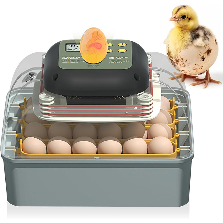 Wholesale best selling goose automatic turner thermometer cockatiel bird heater 24 egg incubator