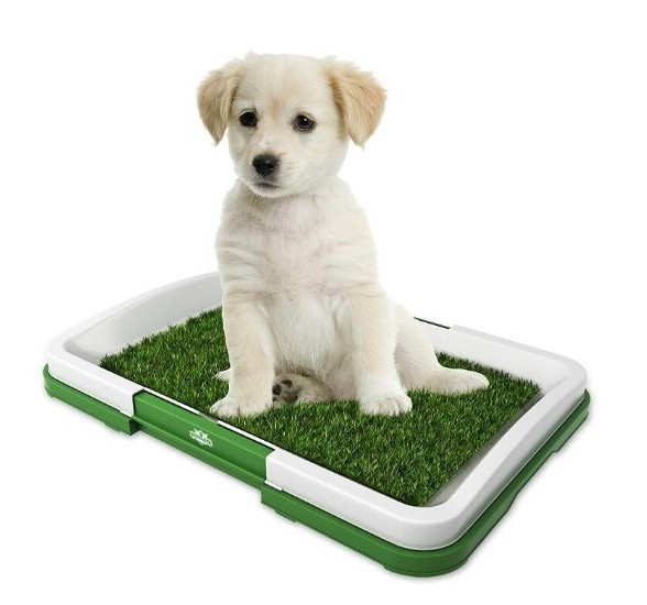 Dog Pottytraining Tray Grass Toilet Dog Potty Dog Pee Pads BSCI Bathroom Picture Sustainable Support Plastic High Quality Indoor