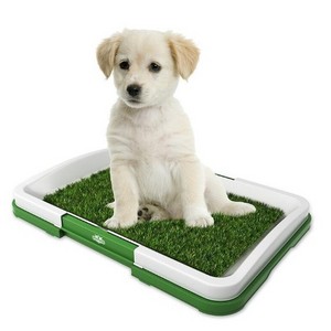 Dog Pottytraining Tray Grass Toilet Dog Potty Dog Pee Pads BSCI Bathroom Picture Sustainable Support Plastic High Quality Indoor