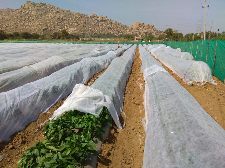 Wholesale Agriculture Non woven Plant Protection Cover Garden Plant Cover For Winter Plant Frost Cover