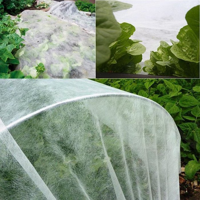 Wholesale Agriculture Non woven Plant Protection Cover Garden Plant Cover For Winter Plant Frost Cover