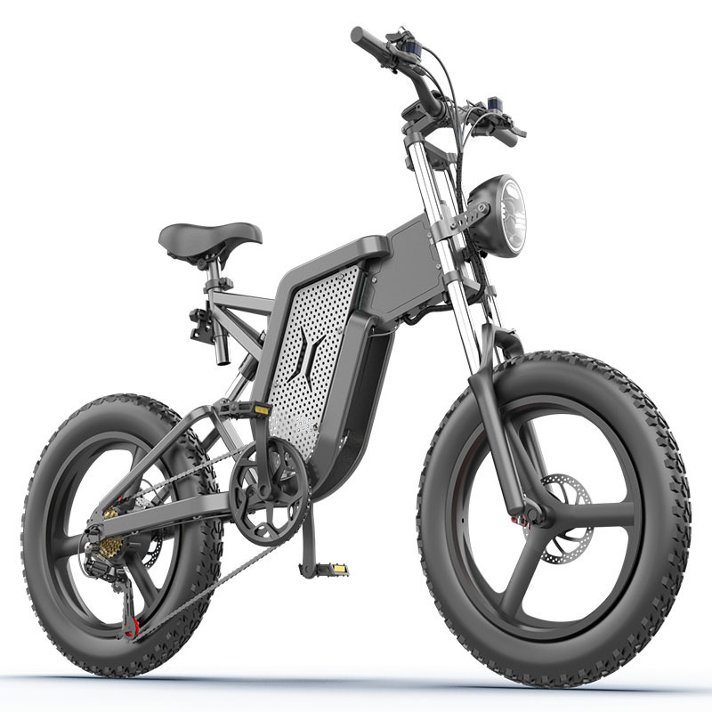 Angelol Fat Tire Electric Mountain E Bike Big Power 1000W 48V Mid Drive Motor Dual Suspensions Electric Fat Bike For Adults