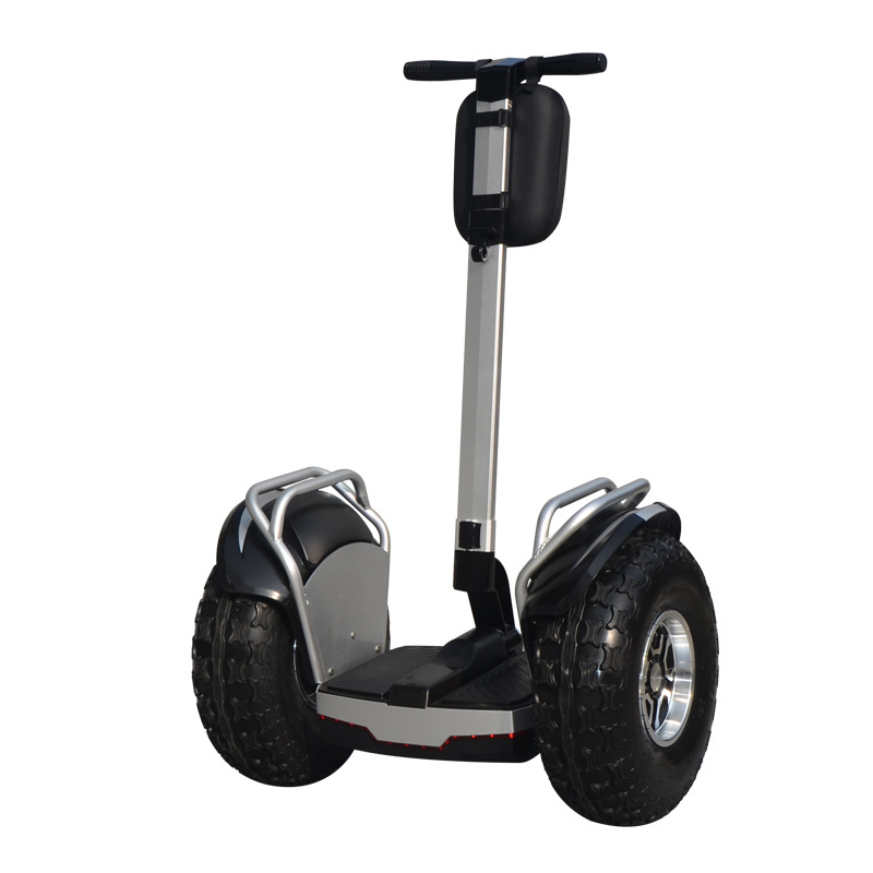 popular 19 inch Smart Intelligent Off road Chariot Electric Golf E Self Balance Scooter from supplier