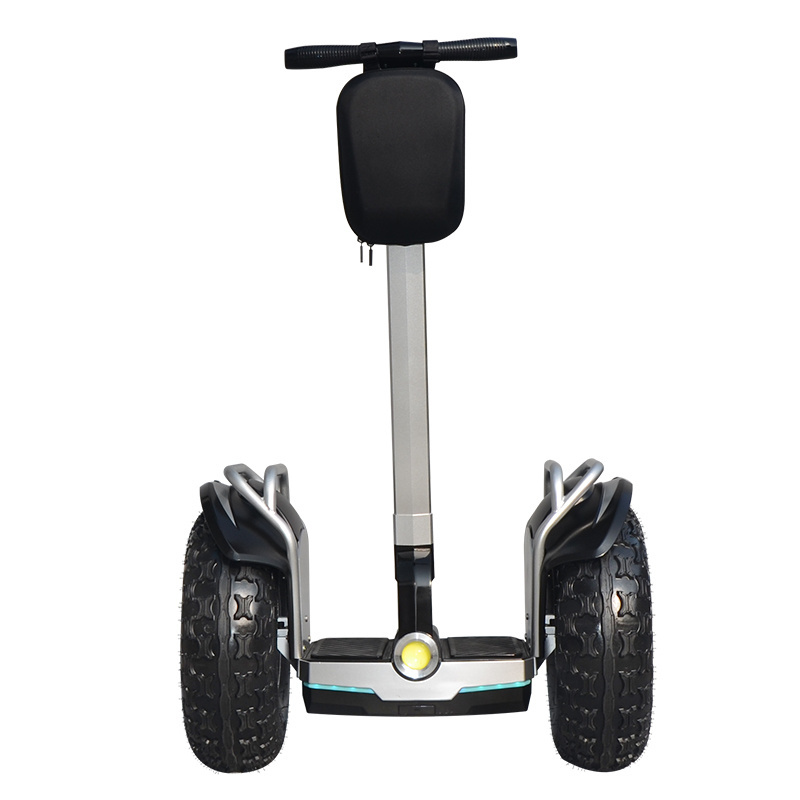 popular 19 inch Smart Intelligent Off road Chariot Electric Golf E Self Balance Scooter from supplier