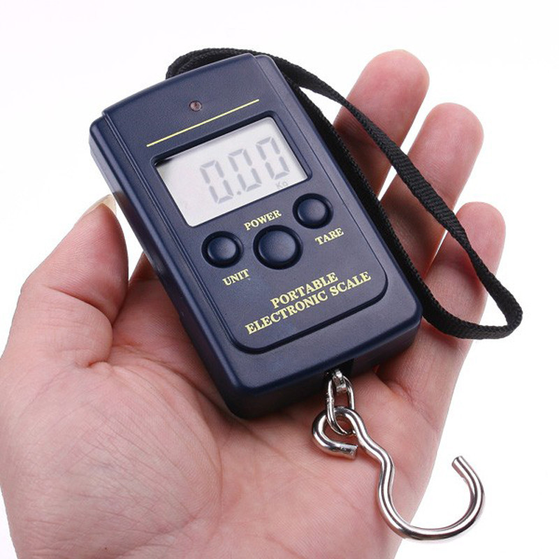 40kg x 10g Mini Digital Scale for Fishing Luggage Travel Weighting Steelyard Hanging Electronic Hook Scale, Kitchen Weight Tool