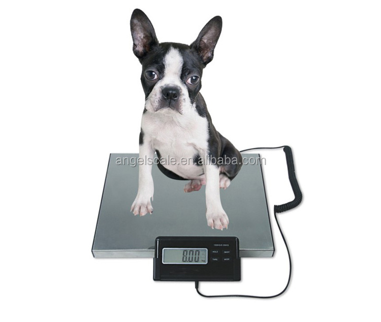 60kg-300kg Electronic Digital postal scale/waterproof platform scale manual weighing Platform scale