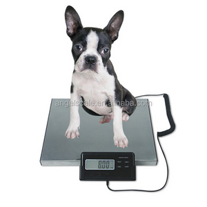 60kg-300kg Electronic Digital postal scale/waterproof platform scale manual weighing Platform scale