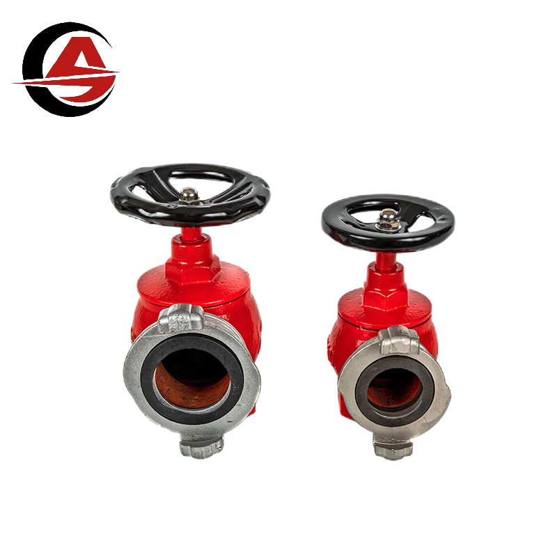 High Quality Factory price DN65 Fire fighting equipment indoor common hydrant