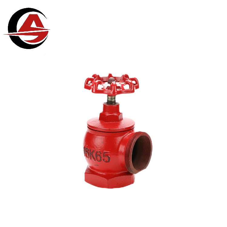 High Quality Factory price DN65 Fire fighting equipment indoor common hydrant