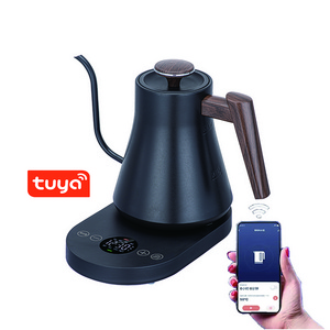 New Arrival 220V mini coffee kettle tea water boiler samovar electric kettles for home appliances  smart gooseneck kettle