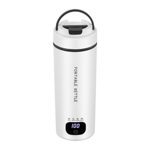 Portable Usb Kettle Travel Hot Water Electric Kettle Mini Kettle Electric With Dual Voltage 110V And 220V Temperature