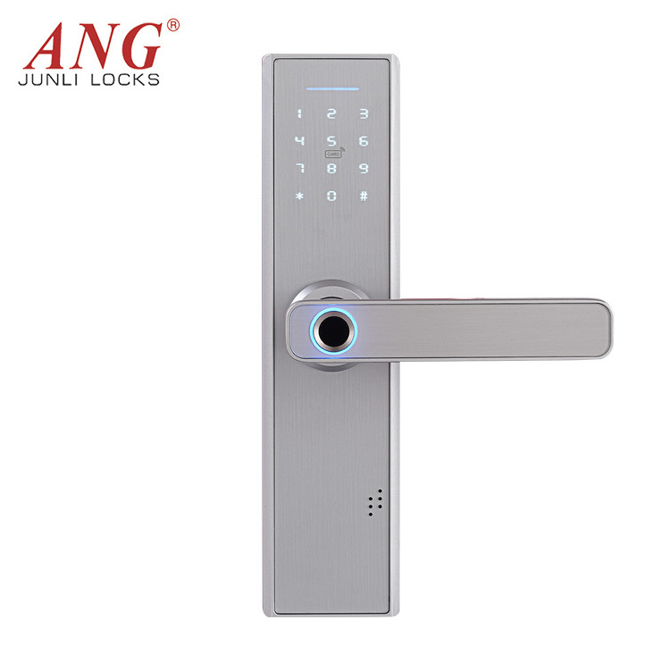 Low Power Usb Interface Tuya App Digital Thumbprint Optical Sensor Gate Lock For Inside Door